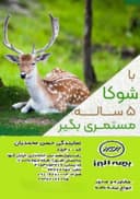 بیمه شوکا