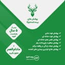 بیمه شوکا نقدی یکجا